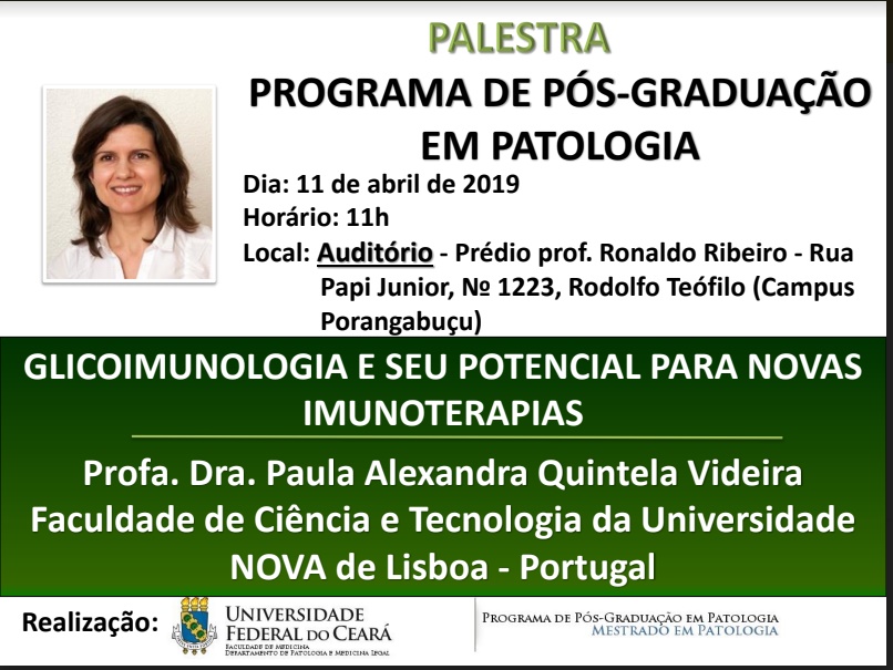 11 04 19 Palestra Internacional   profa Paula Videira